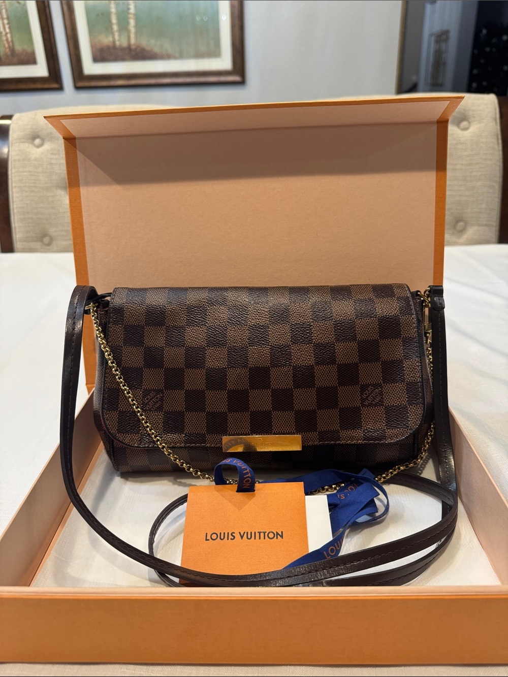 Authentic Louis Vuitton Damier Ebene Favorite Bag